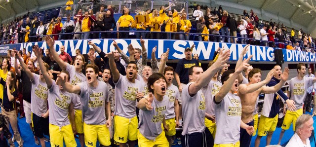 Michigan Celebration, 2013 Men's NCAA Swimming and Diving Championships (photo Credit: Tim Binning, the swim pictures)