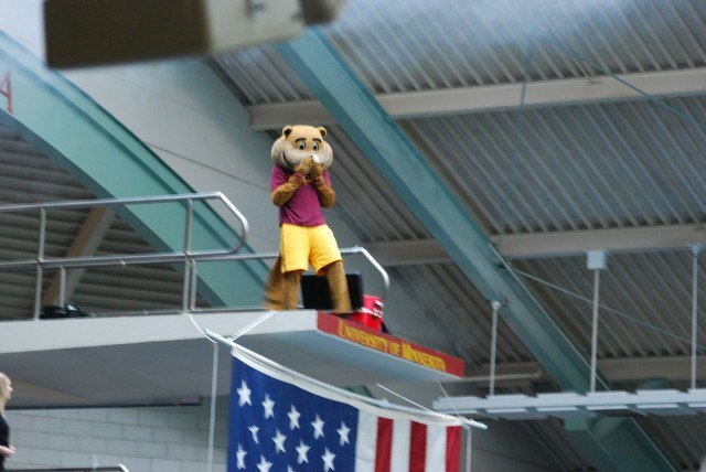 Goldy the Gopher took a cannonball off of the 10-meter after the meet opening pyrotechnics show on night 1 of the 2014 NCAA Championships. (Photo Courtesy: Janna Schulze)
