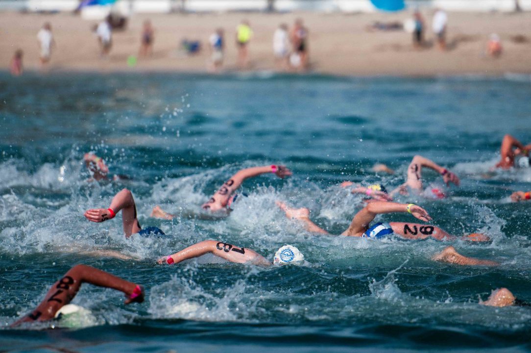 open water swimming fina