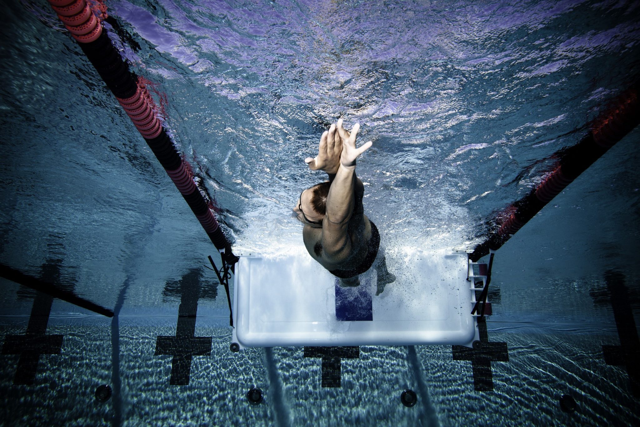 trent dressel blues, then Swim shorten the Training: long course Got