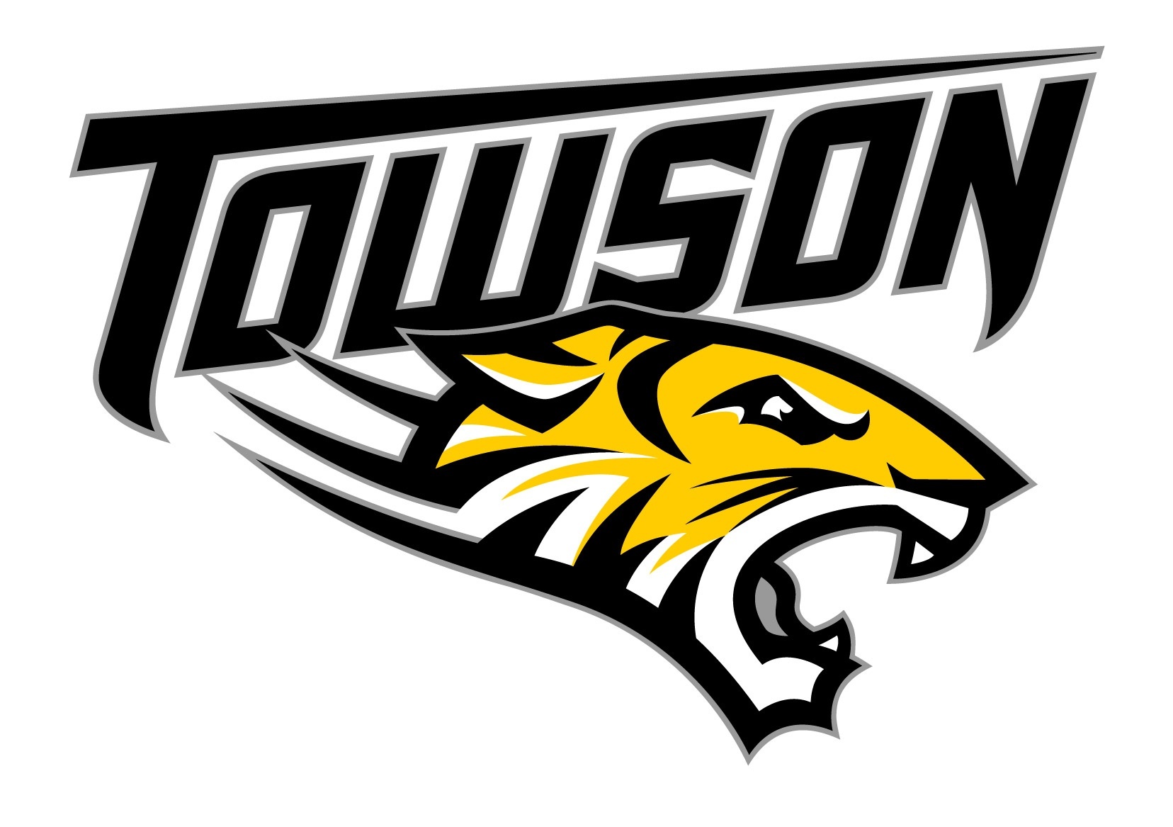 Towson Tigers sign 13 to National Letters of Intent