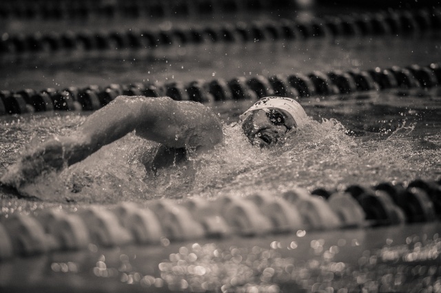 Tyler Clary in the 500 free (photo: Mike Lewis, Ola Vista Photography)