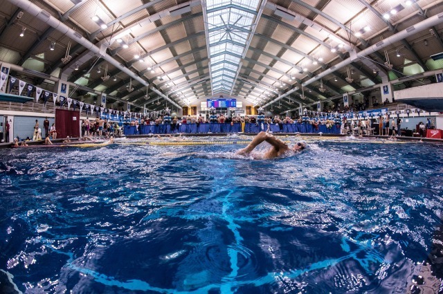 The Games: Wes Nelson is victorious in the 50m freestyle AND