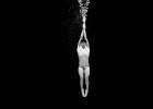 underwater photos