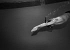 underwater photos