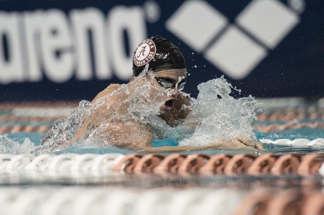 swimming photo