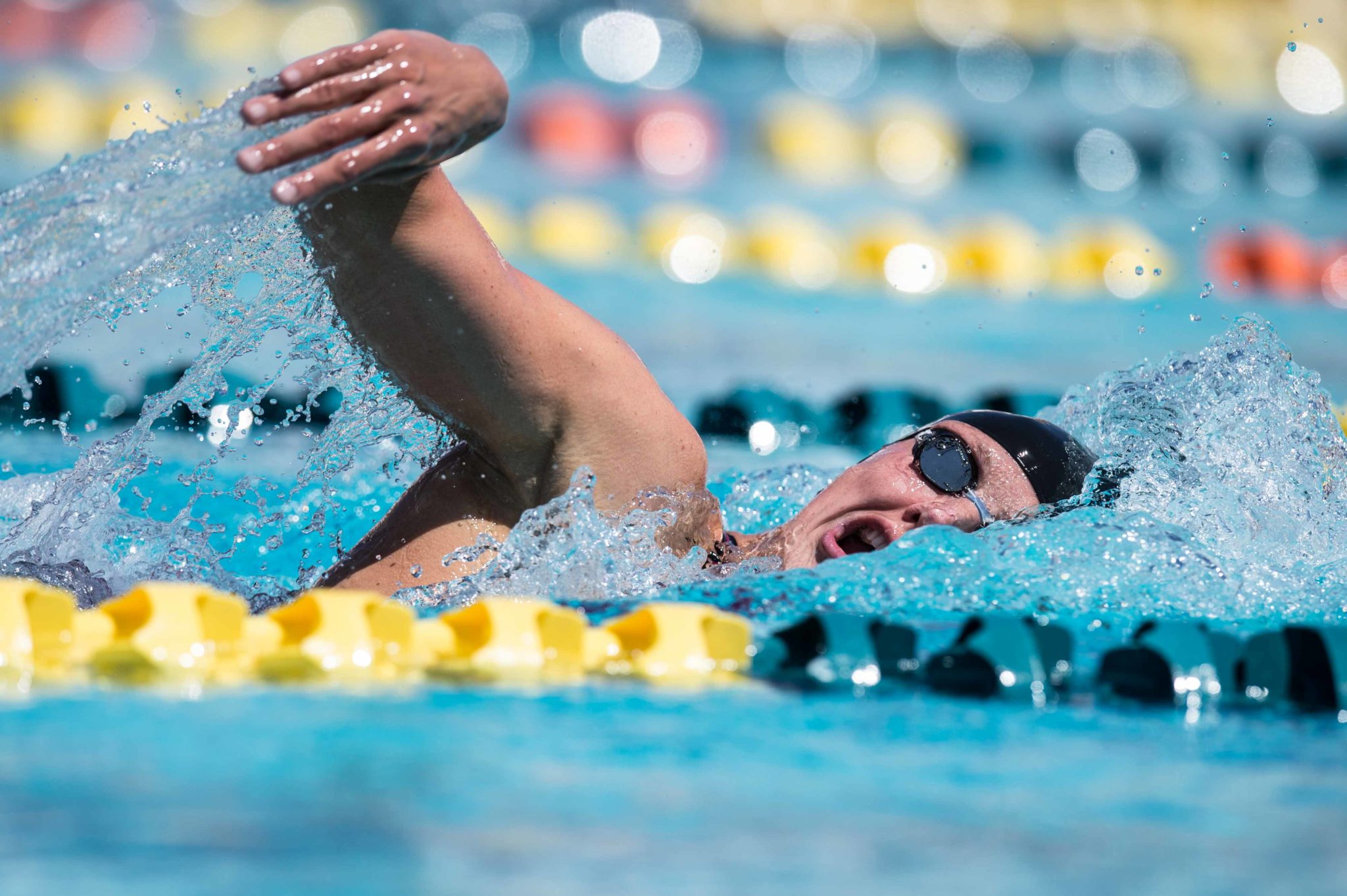 Sarah Gibson Bio SwimSwam