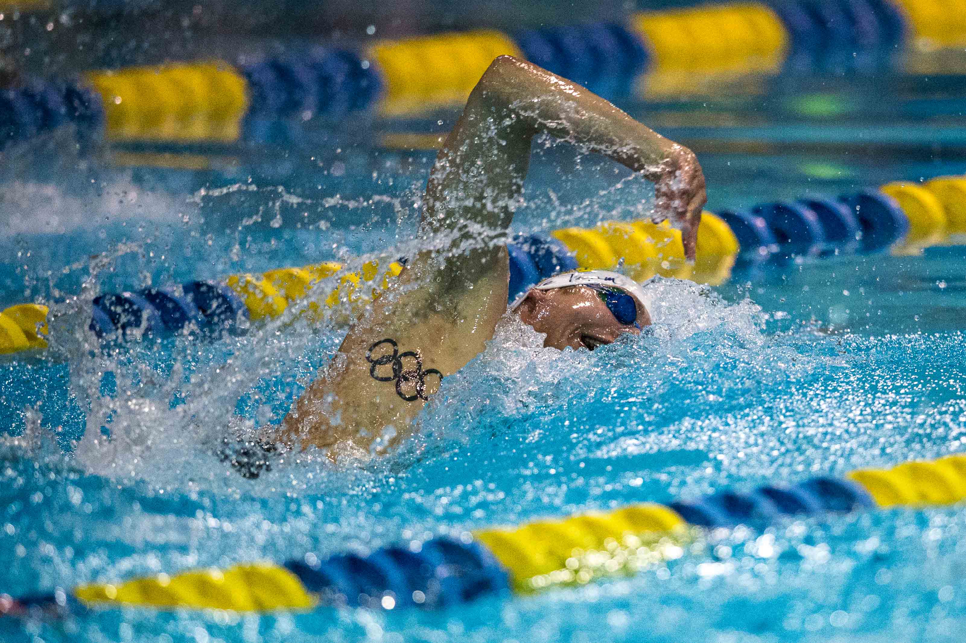 83 Swim Jobs You Might Love