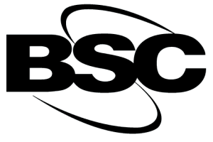 Baldwin Swim Team (BSC)