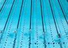 swimming posters