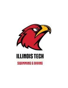 Illinois Institute of Technology