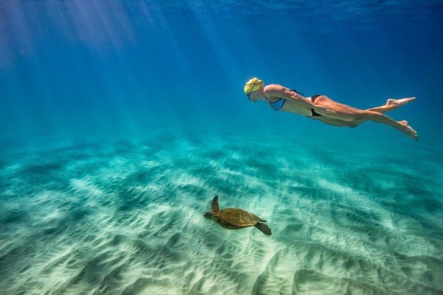 Masters world record holder Cynthia Lewis with sea turtles in Kauai (photo: Mike Lewis)