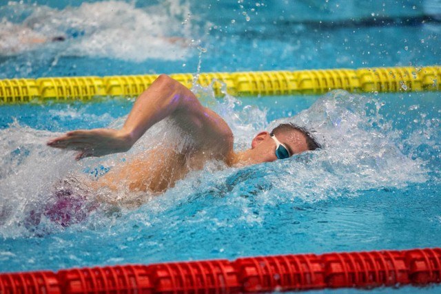 Laszlo Cseh via Rafael Domeyko