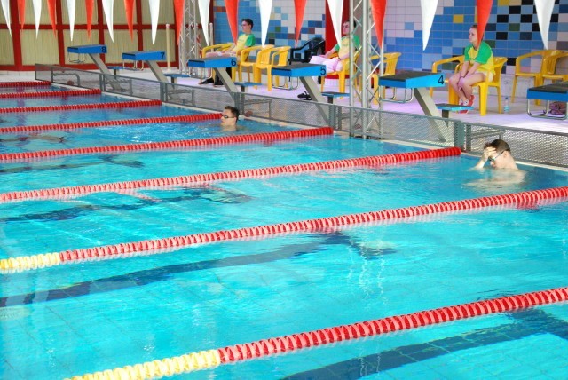 Zwei "Hasen" warten auf Rückenschwimmer Jan-Philip Glania