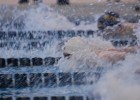 Justin Shi Posts 53.71 1Fly, #23 All-Time for 15-16 Boys at Mercersburg & Chambersburg LCM Invite