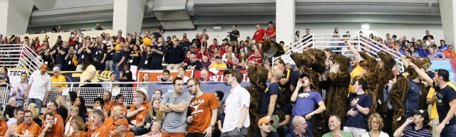 The REAL Cal Bears. Photo Credits: Tim Binning/TheSwimPictures.com