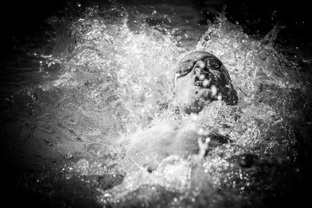 Mitch Larkin (photo: Mike Lewis)
