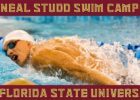 2026 Neal Studd Swim Camp @ Florida State University – Sign Up Today