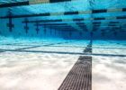 Weekly Wonders of Age Group Swimming: 4/26/2024