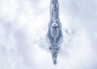 underwater swimming photo