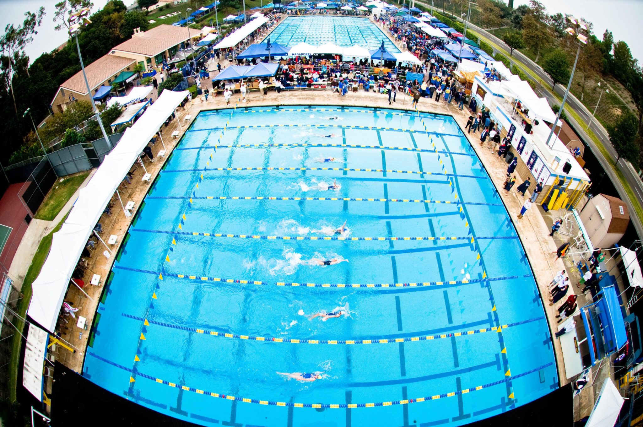 BSN Sports Swim Team Of The Week Mission Viejo Nadadores BSN Sports Swim Team Of The Week Mission Viejo Nadadores