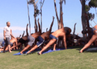Yoga for Swimmers