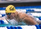 swimming Andrew Seliskar by Mike Lewis