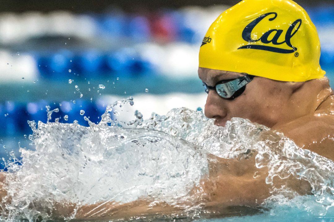 Selis Momentum : Momentum ties velocity and mass into one ...