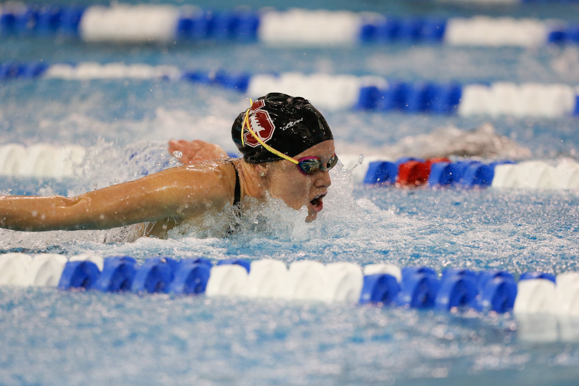 WATCH: Day 2 Race Videos From Fran Crippen Swim Meet of Champions