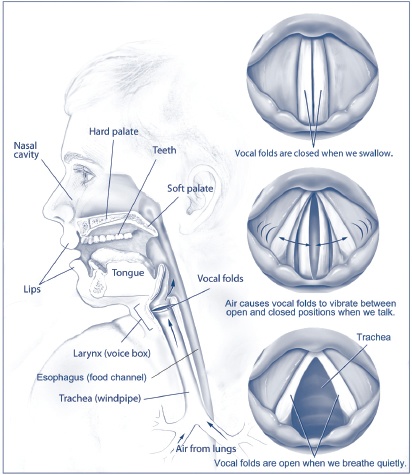 Why Can't I Breathe? Vocal Cord Dysfunction In Swimmers