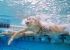 Katie Ledecky Swimming underwater by Mike Lewis