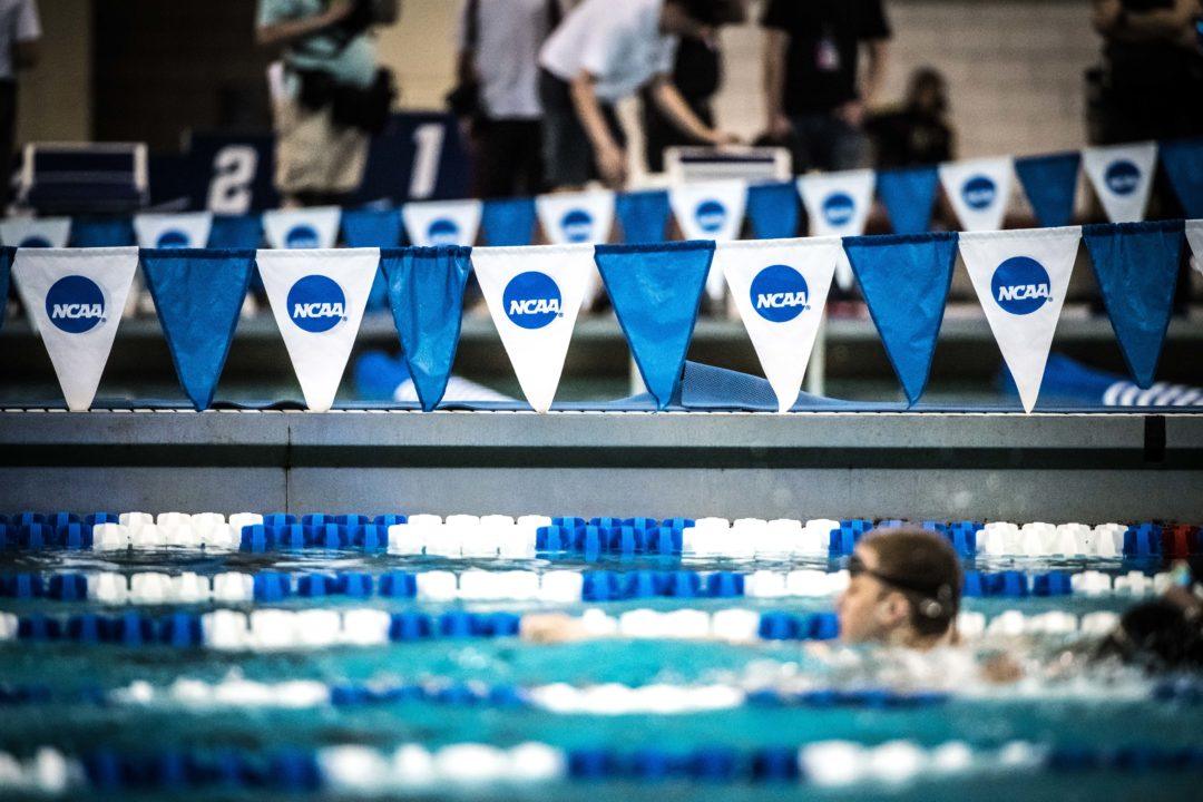 Shouts From The Stands NCAA Swimming Should Be a Spring Sport For 202021