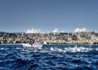 Race at Napoli 52 a Capri - Napoli FINA Open Water Swimming Grand Prix 2017 September 3rd, 2017 - 03-09-2017 ©Giorgio Scala/Deepbluemedia/Inside foto