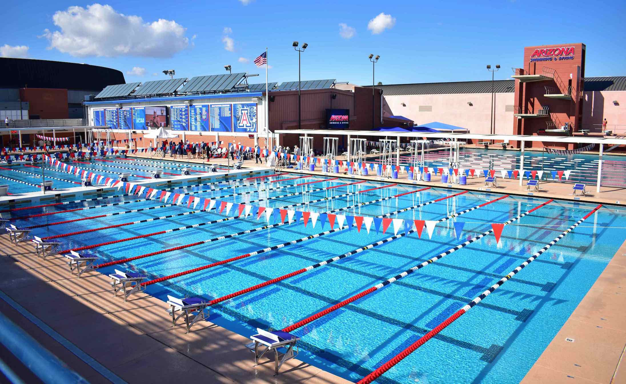 Desert Swim Camps at the University of Arizona Sign Up Today