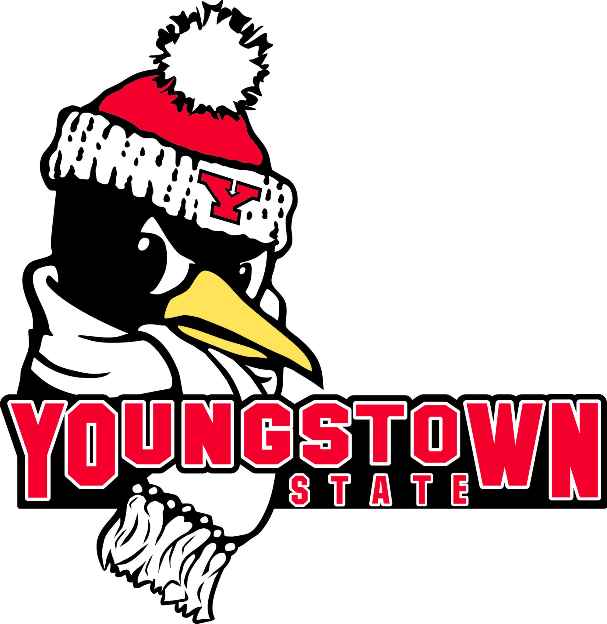 Youngstown State Makes Athletic Department Budget Cuts, Won't Cut Teams