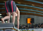 FIN campionato