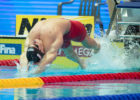 Simone Sabbioni - courtesy Rafael Domeyko