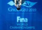 FINA World Championships Diving - courtesy Rafael Domeyko
