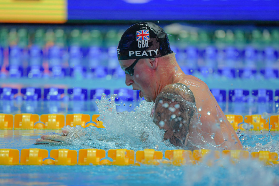 fina world championships livestream