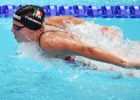 Ilaria Cusinato
