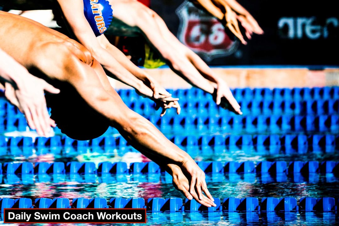 Daily Swim Coach Workout 225