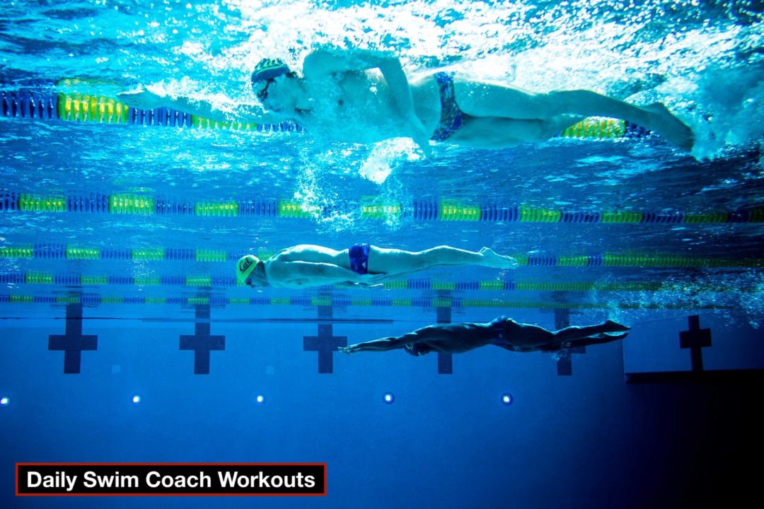Daily Swim Coach Workout 48