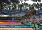 Stock pool Settecolli Rome
