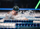 Adam Peaty World Record London Roar ISL by Mike Lewis Adam Peaty World Record London Roar ISL by Mike Lewis