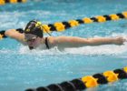 College Swimming Weekly Preview: Dec. 7-13