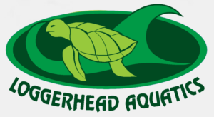 Loggerhead Aquatics