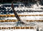 backstroke stock
