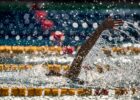 back backstroke stock