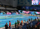stock pool Budapest