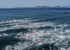 stock open water courtesy of Andrea Masini Deepbluemedia